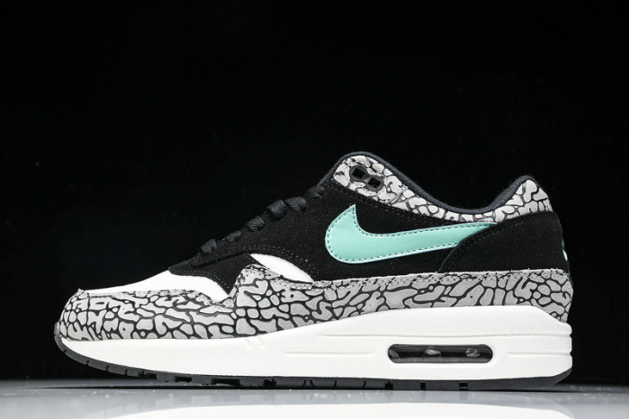 nike air max 1 preM1vm 908366-001